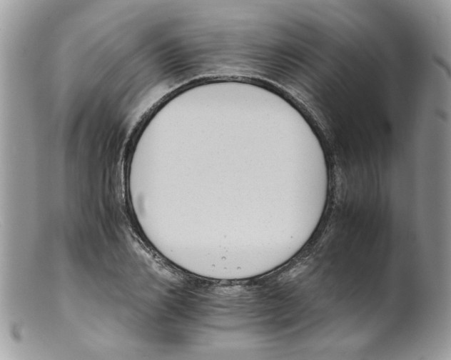 X0000098140982200805151136