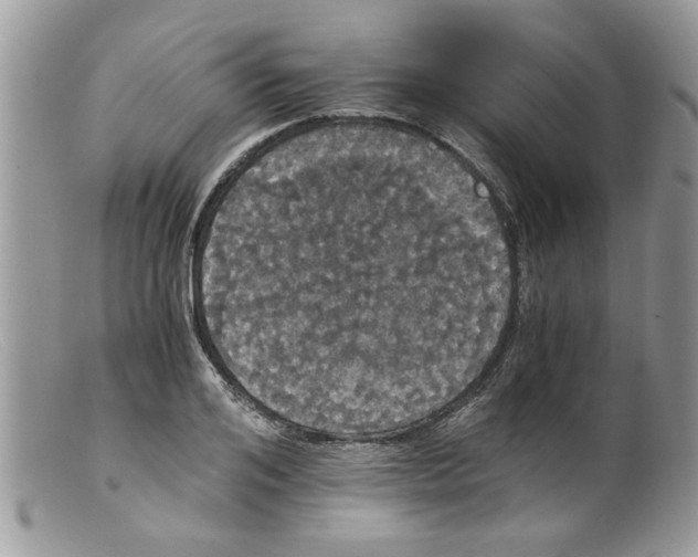 X0000098140984200805151136