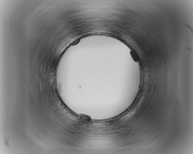 X0000098140985200805151136