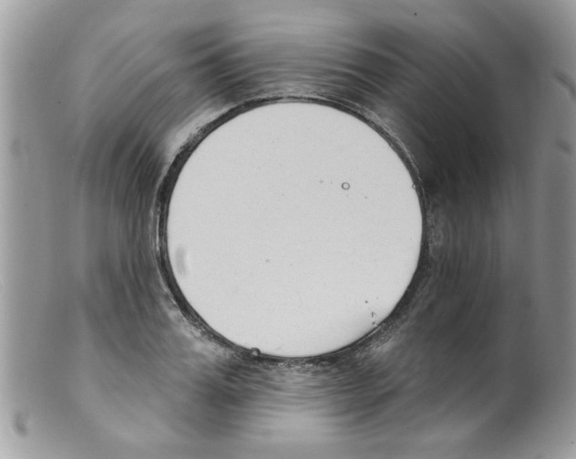 X0000098140987200805151136