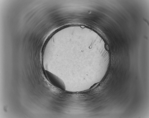 X0000098140988200805151136