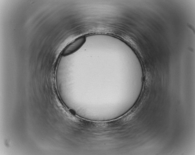 X0000098140989200805151136