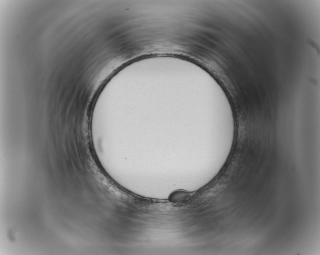 X0000098140990200805151136