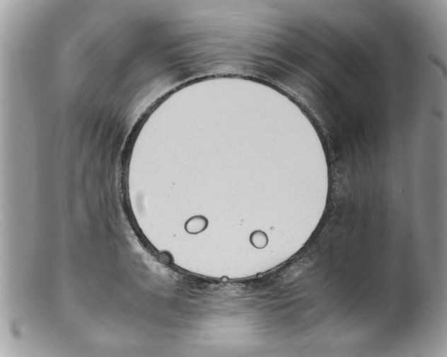 X0000098140991200805151136