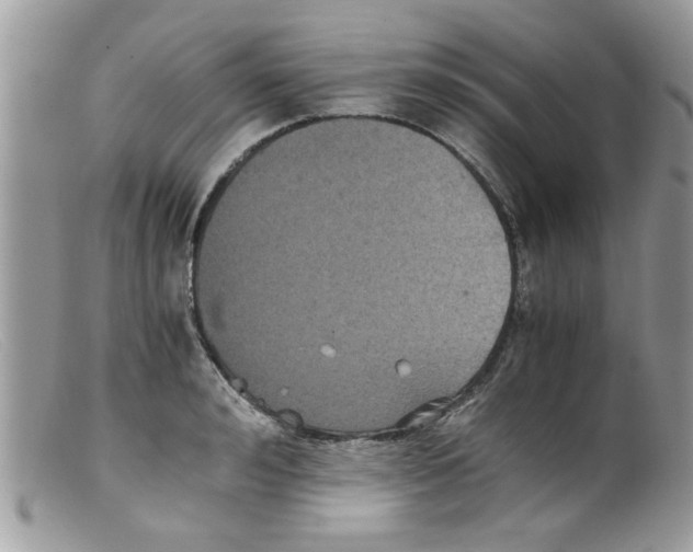 X0000098140992200805151136