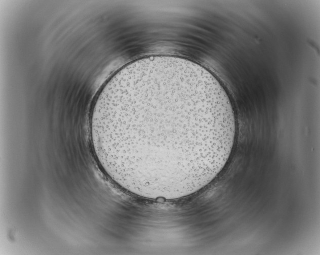 X0000098140994200805151135