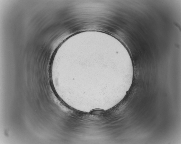 X0000098140995200805151135