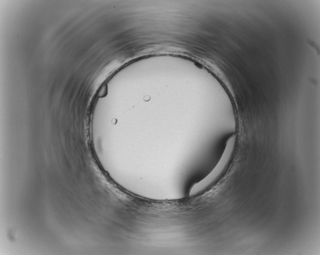 X0000098140997200805151135