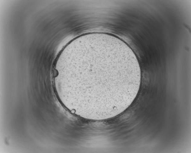 X0000098140998200805151135