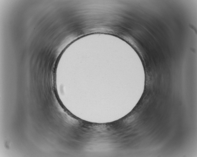 X0000098140999200805151135