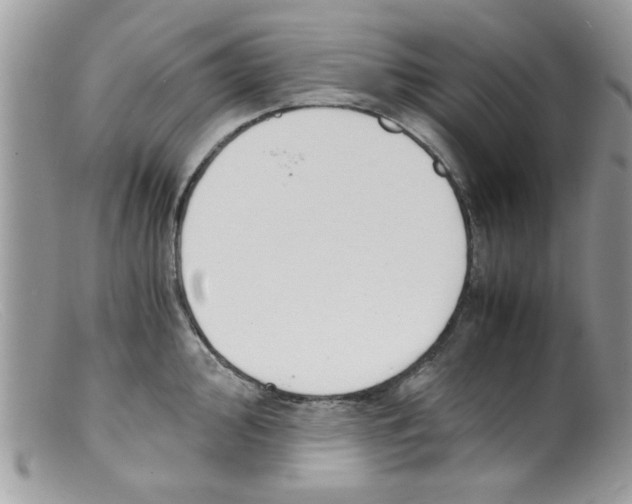 X0000098141000200805151135