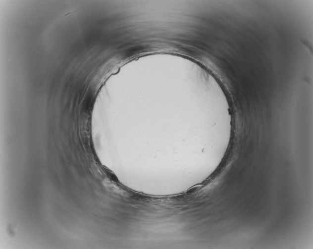 X0000098141001200805151135