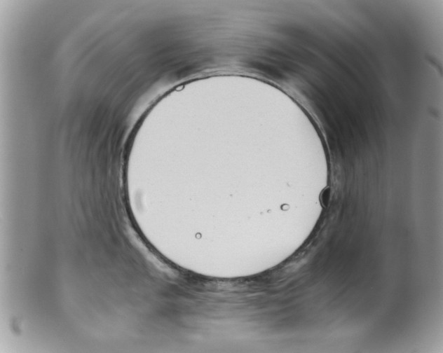 X0000098141005200805151135