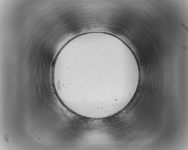 X0000098141006200805151135