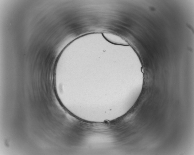 X0000098141007200805151135