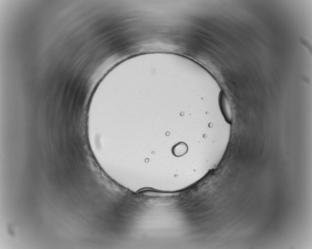 X0000098141008200805151135