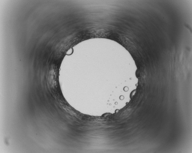 X0000098141010200805151135