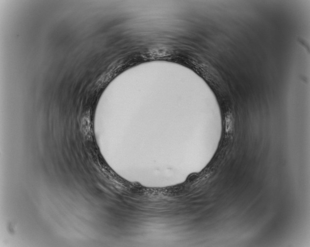 X0000098141011200805151135