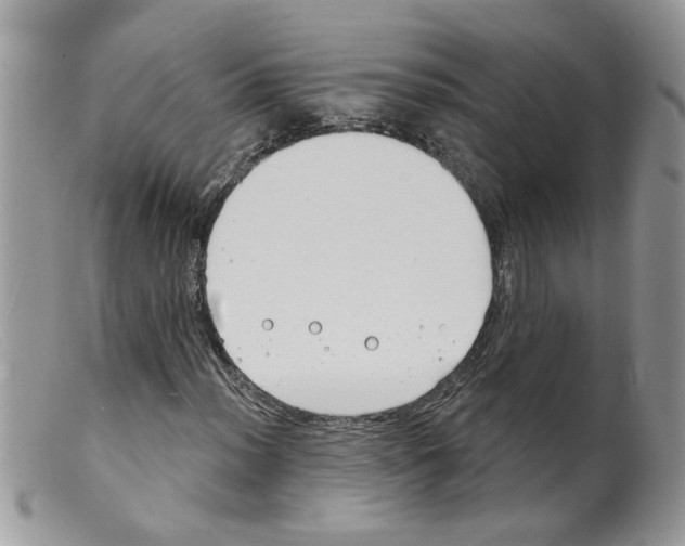 X0000098141012200805151135