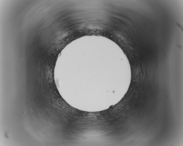 X0000098141013200805151135