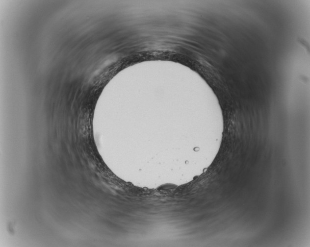 X0000098141014200805151135