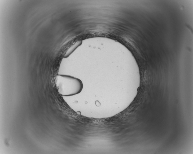 X0000098141015200805151135