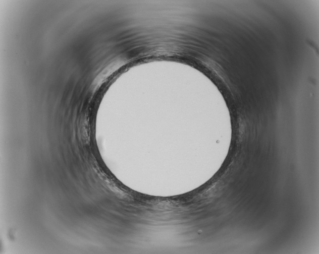 X0000098141018200805151135