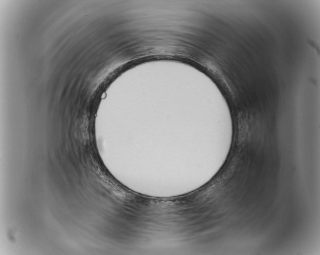 X0000098141019200805151135