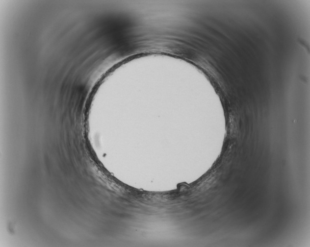 X0000098141020200805151135