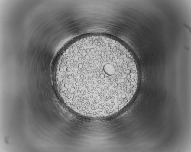 X0000098141022200805151135