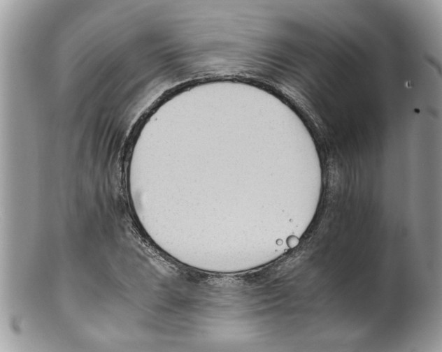 X0000098141023200805151135