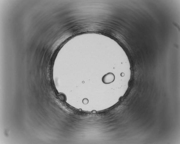 X0000098141026200805151135