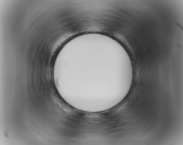 X0000098141027200805151135