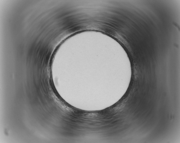 X0000098141028200805151135