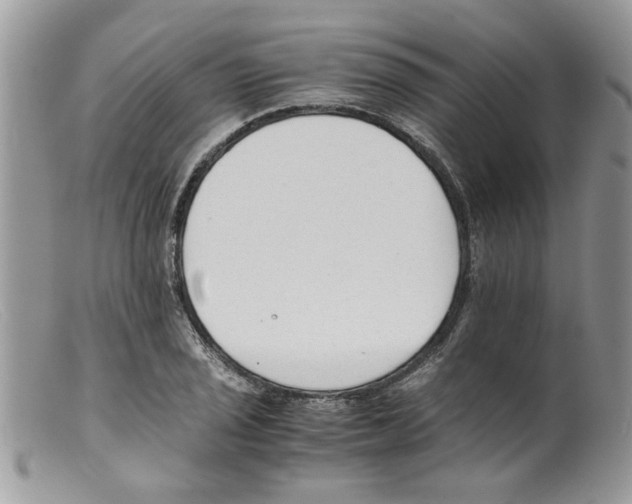 X0000098141029200805151135