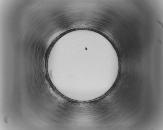 X0000098141030200805151135