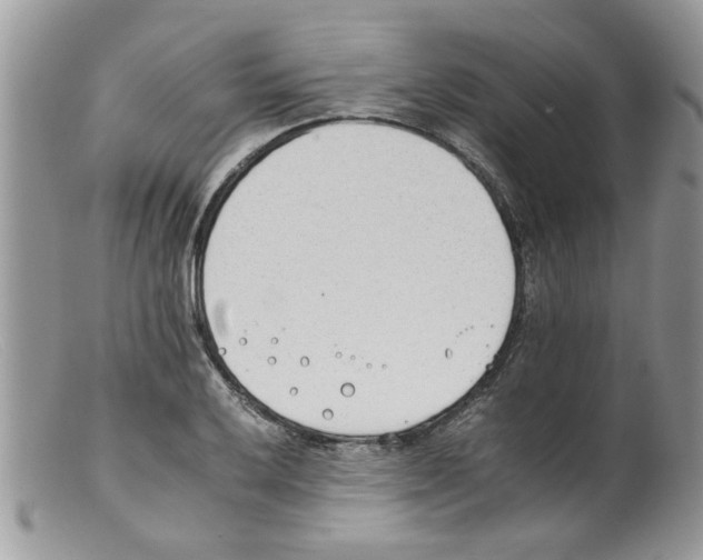 X0000098141032200805151135