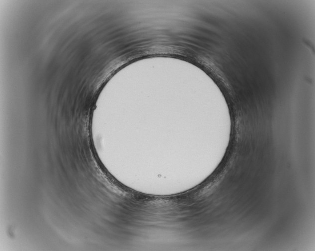 X0000098141033200805151135