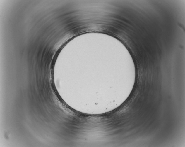 X0000098141034200805151135