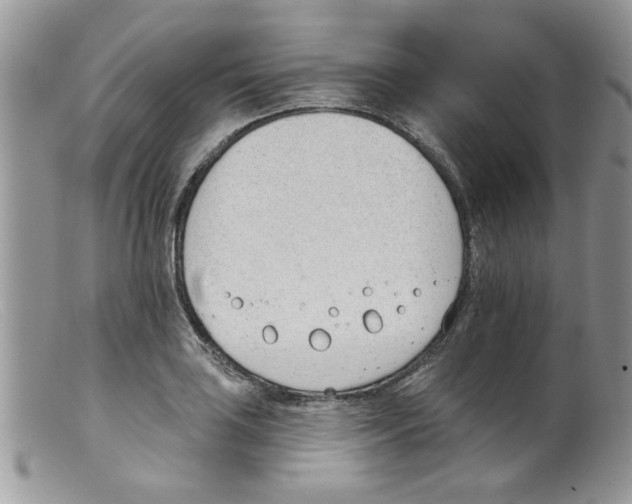 X0000098141035200805151135