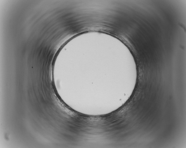 X0000098141036200805151135