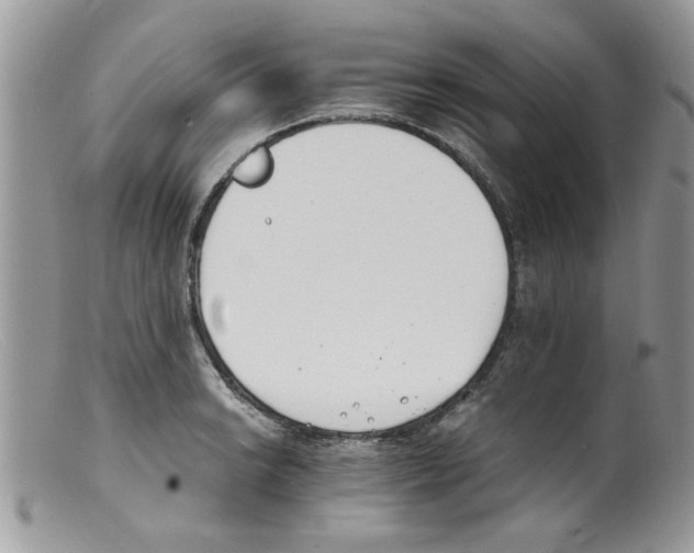 X0000098141038200805151135