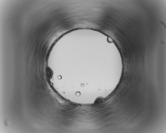 X0000098141040200805151135