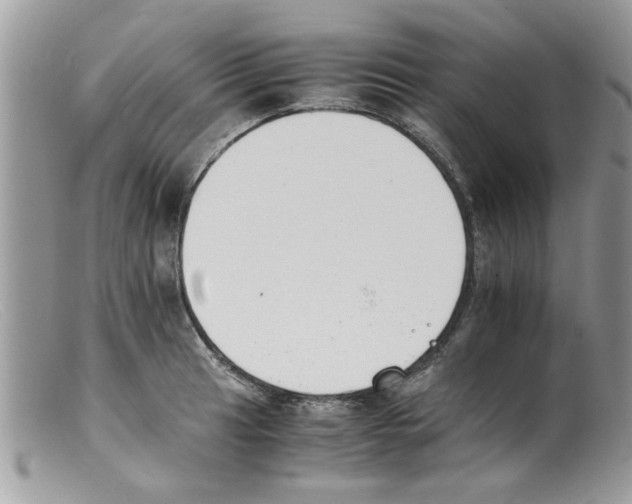 X0000098141041200805151135