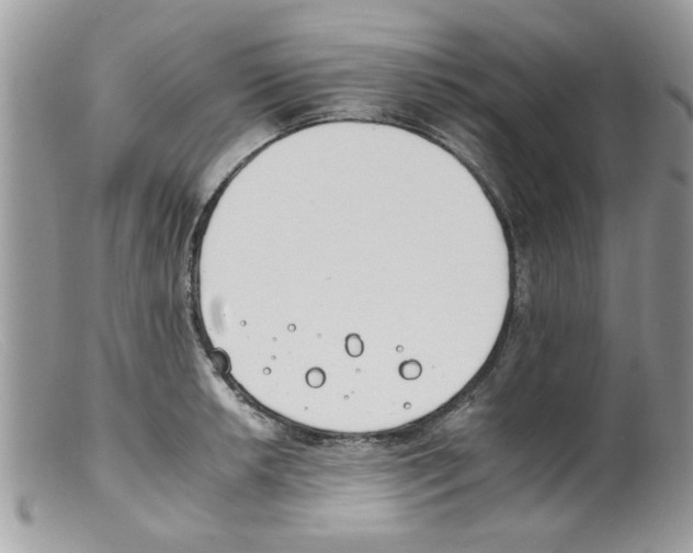 X0000098141042200805151135