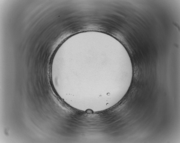 X0000098141043200805151135