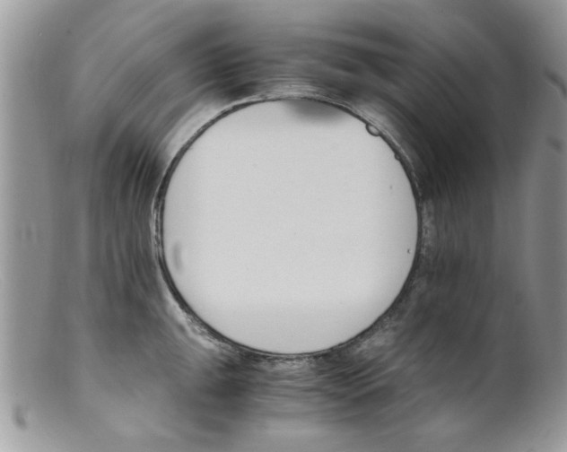 X0000098141047200805151135