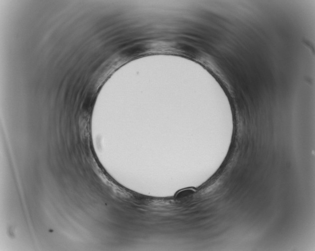 X0000098141049200805151135