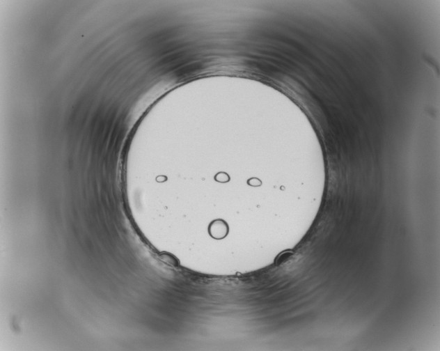 X0000098141050200805151135