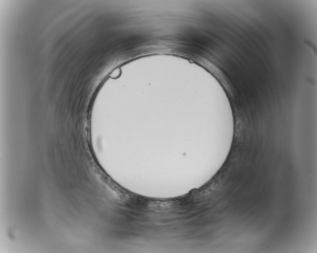 X0000098141051200805151135